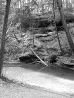 IMG_1885.JPG