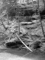 IMG_1886.JPG