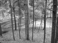 IMG_1863.JPG